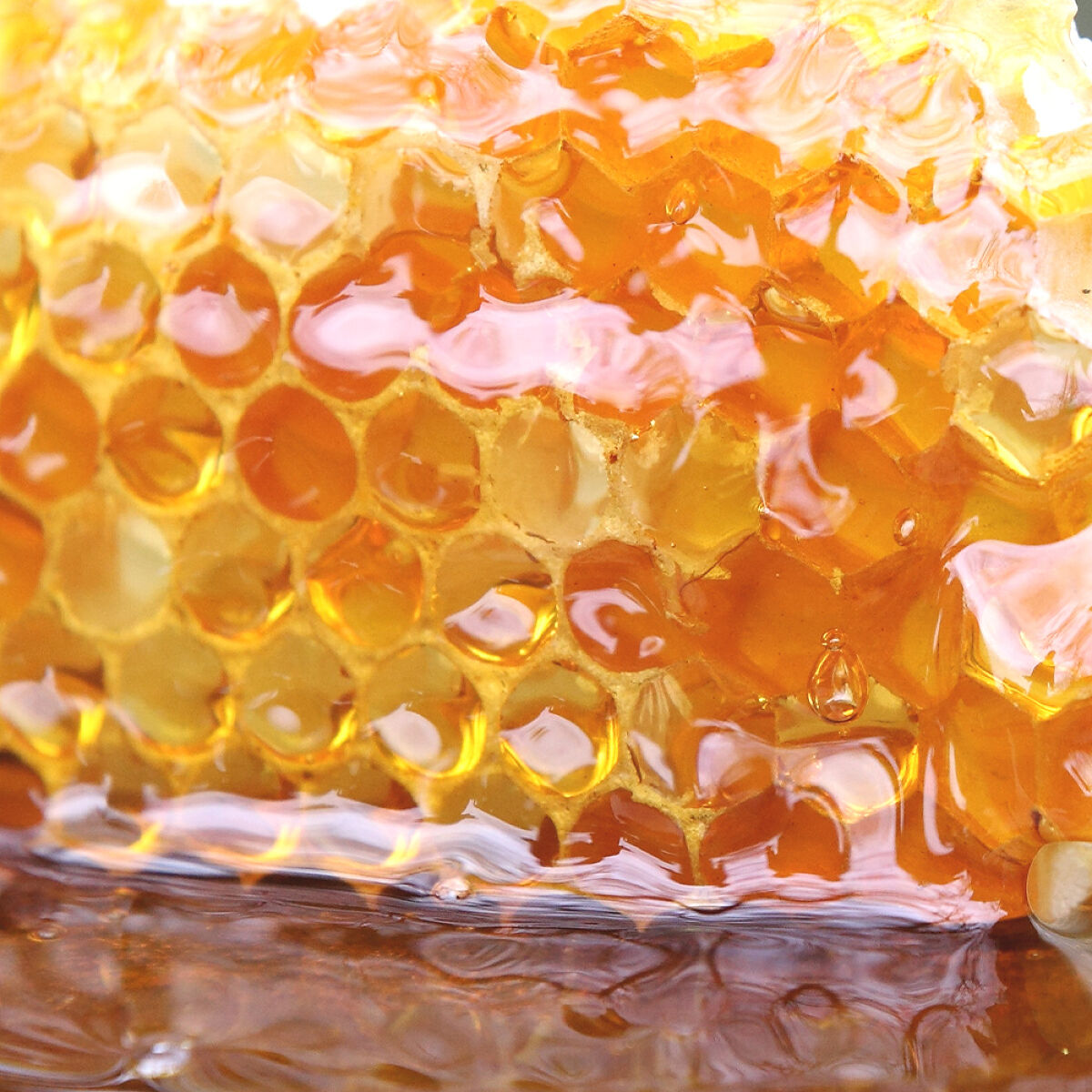 シカマヌ　セラム　クッションファンデ/parnell/クッションファンデーションを使ったクチコミ（2枚目）