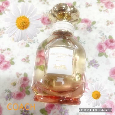 COACH ドリームス オードパルファムのクチコミ「COACH🌼*･
ドリームス サンセット オードパルファム
40㎖


地平線に沈む夕陽と
自.....」（1枚目）