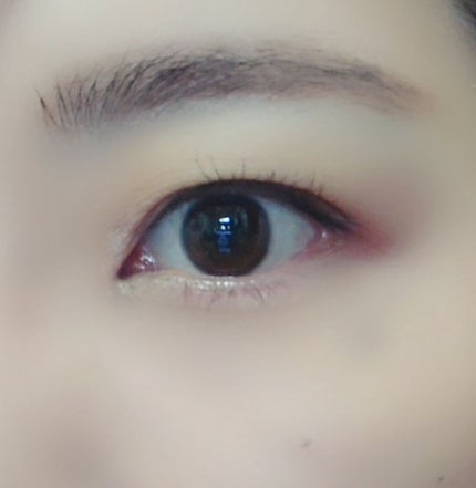 パウダリーリキッドアイブロウ/キングダム/リキッドアイブロウを使ったクチコミ(1枚目)