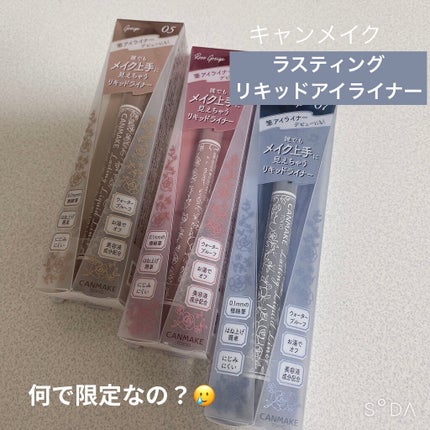 ラスティングリキッドライナー/キャンメイク/リキッドアイライナーを使ったクチコミ(1枚目)