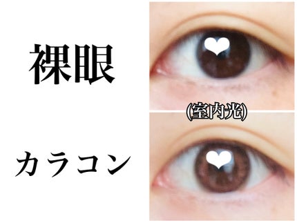 TOPARDS 1day/TOPARDS/ワンデー(1DAY)カラコンを使ったクチコミ(4枚目)