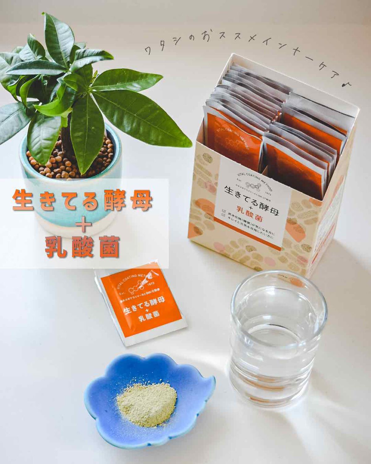 生きてる酵母＋乳酸菌/生きてる酵母シリーズ/健康サプリメントを使ったクチコミ（1枚目）