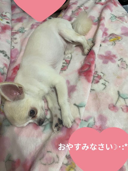 ワンダーハニー とろとろふんわりクリームバス ピュアキンモクセイ/VECUA Honey/炭酸系入浴剤を使ったクチコミ(7枚目)