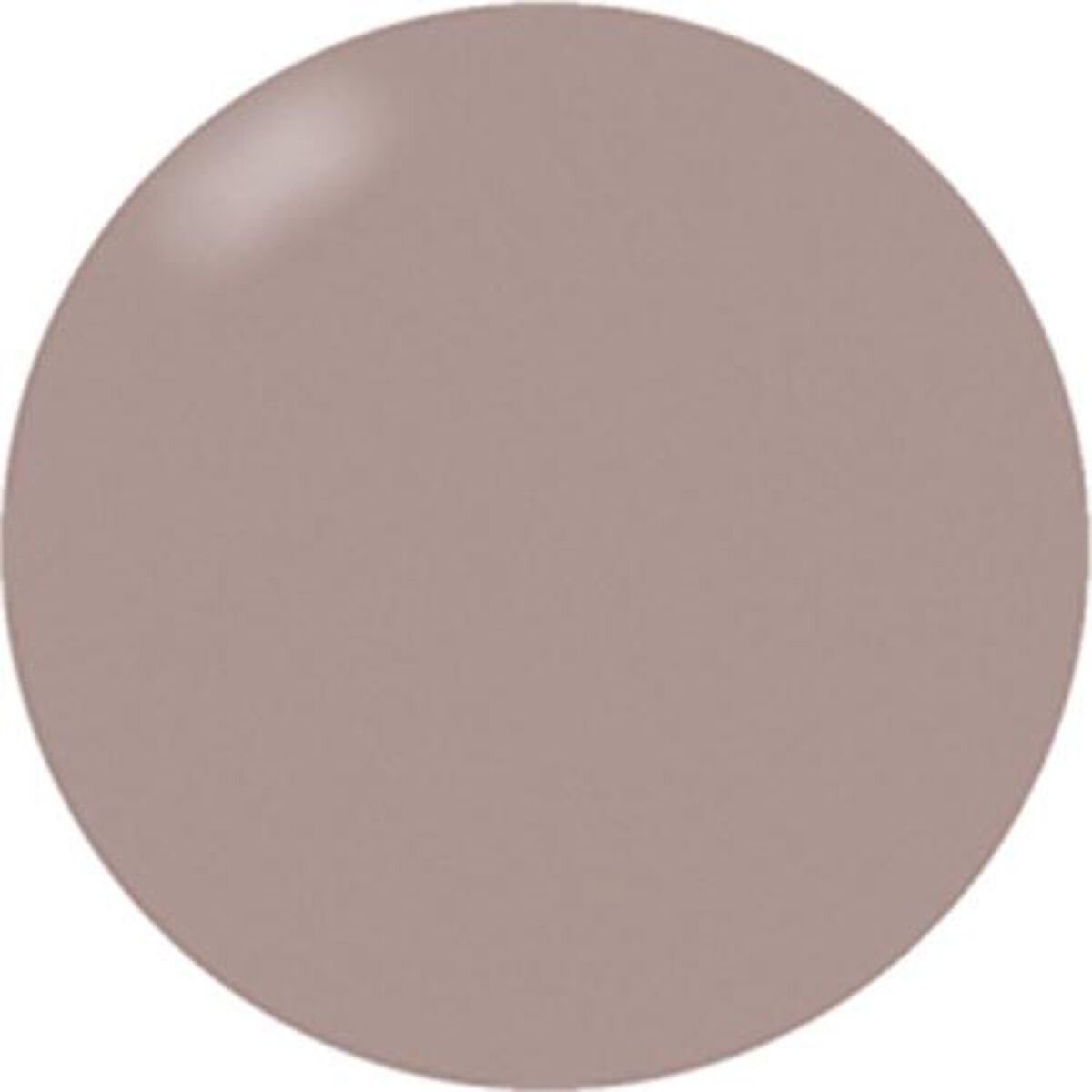 ブラッシュオンカラージェル 252