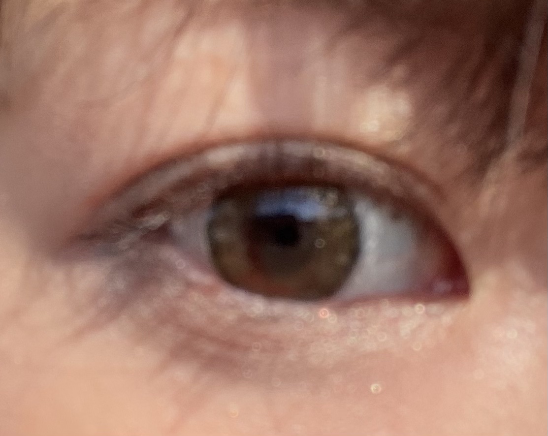 MOLAK 1day/MOLAK/ワンデー（１DAY）カラコンを使ったクチコミ（2枚目）