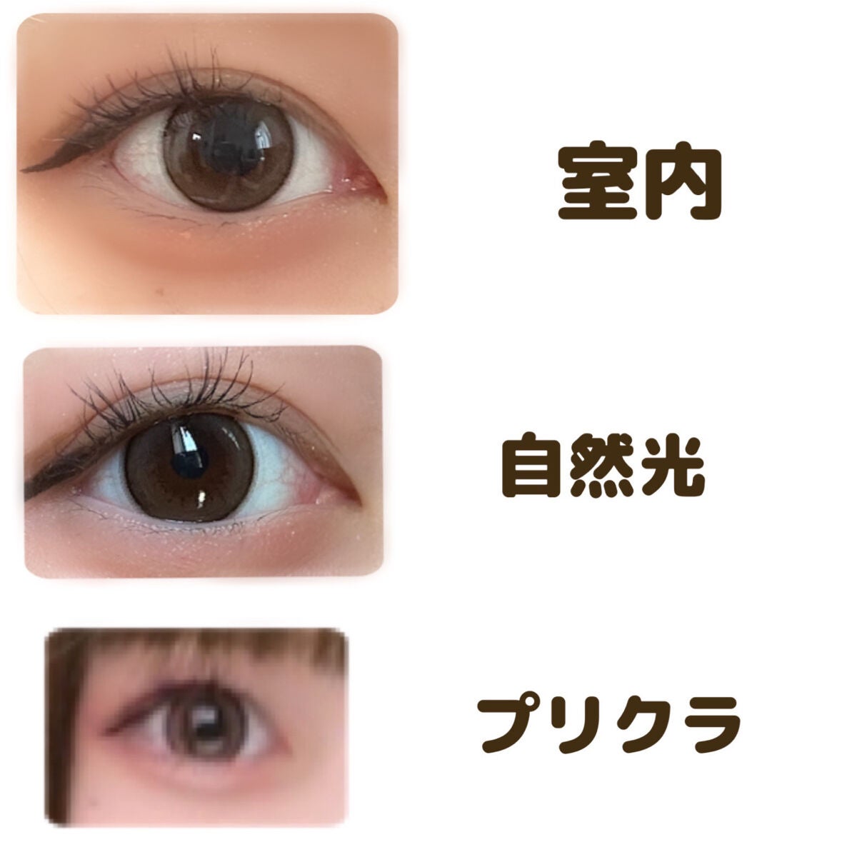 エバーカラーワンデー ナチュラル/エバーカラー/ワンデー(1DAY)カラコンを使ったクチコミ(3枚目)