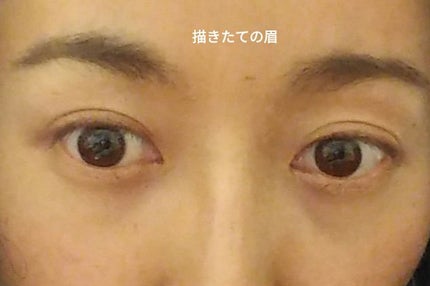 LB パウダーブロウクリエイターのクチコミ「#LB #パウダーブロウクリエイター #PB-3・アッシュグレイ
定価の半額ほどでワゴンで売.....」(3枚目)