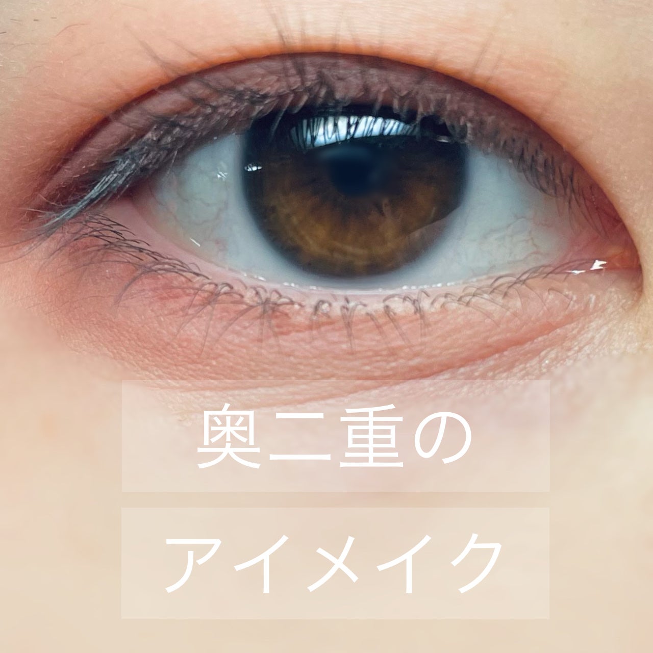 パーフェクトマルチアイズ/キャンメイク/アイシャドウパレットを使ったクチコミ(1枚目)