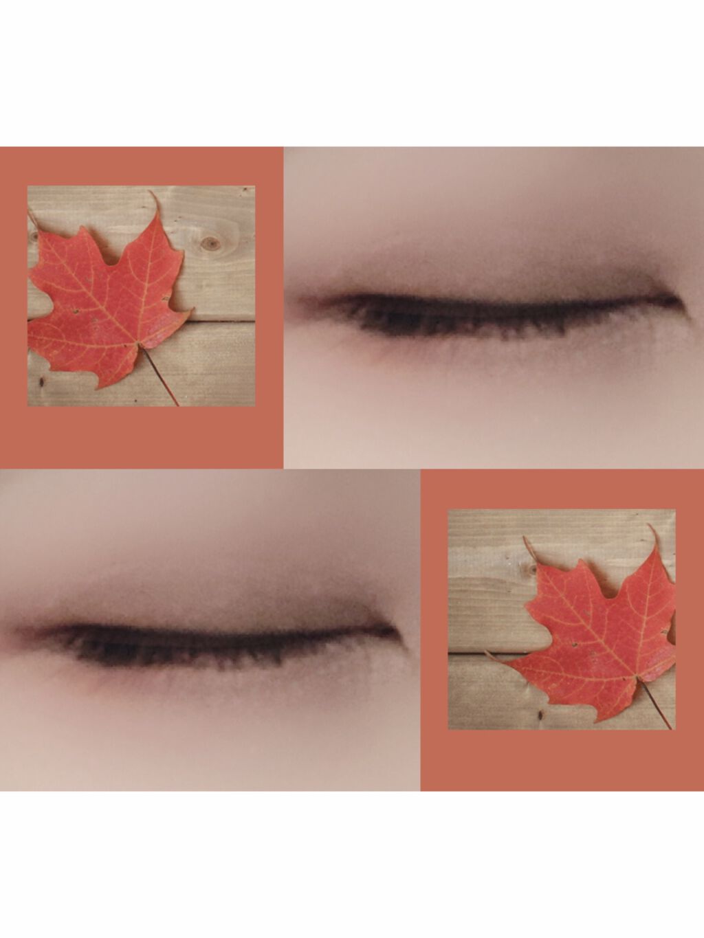 パーフェクトマルチアイズ/キャンメイク/アイシャドウパレットを使ったクチコミ（2枚目）