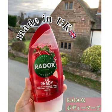RADOX ミネラルセラピー シャワークリーム/RADOX/ボディソープを使ったクチコミ（1枚目）