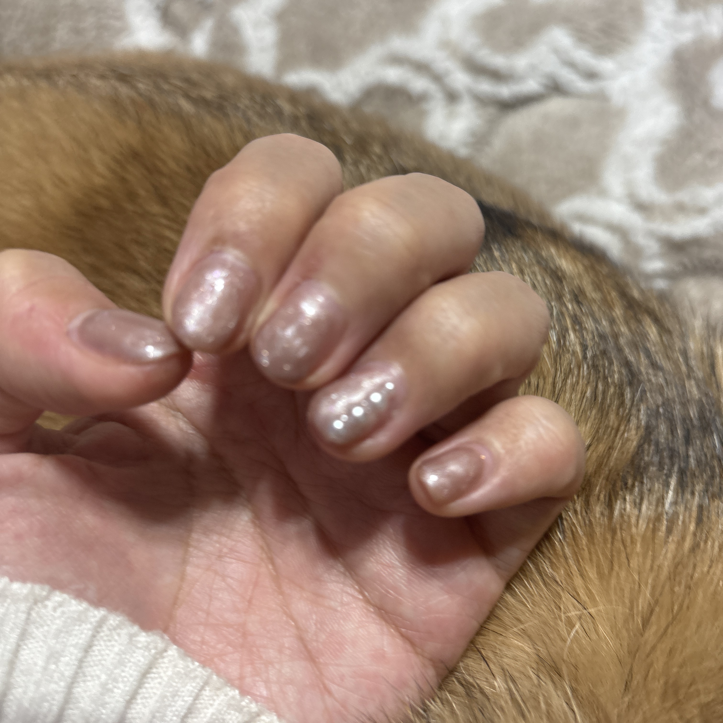 ネイルパーツ/SHEIN/ネイルチップ・パーツを使ったクチコミ（1枚目）