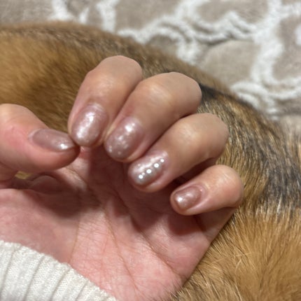 ジャパンネイル ジェルネイルキット UVライト36wスターターキットのクチコミ「
ジャパンネイルとSHEINのネイルパーツを使って
セルフネイル💅🤍
パールを乗せることで.....」(1枚目)