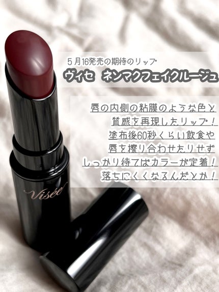 ネンマクフェイク ルージュ/Visée/口紅を使ったクチコミ(2枚目)