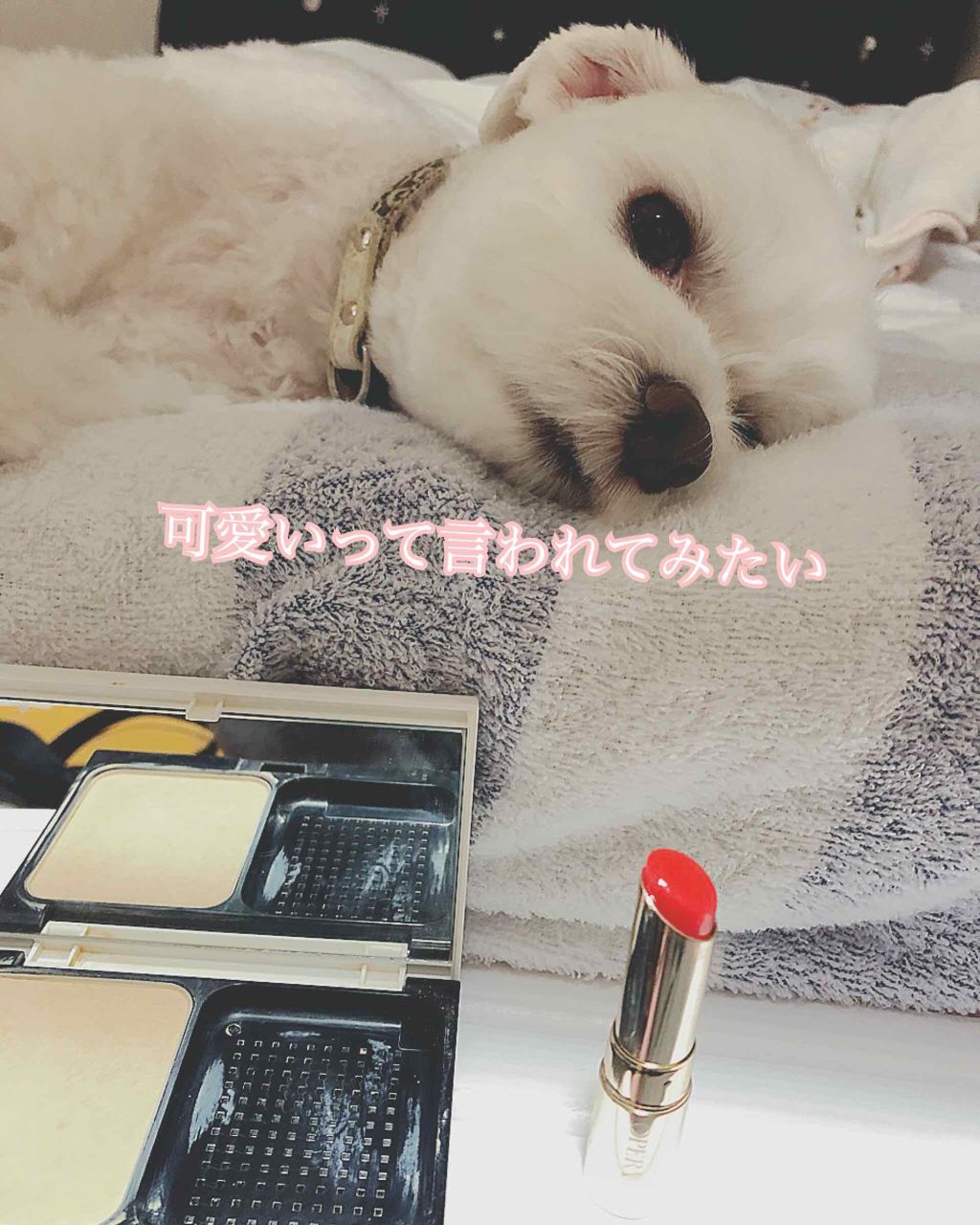 オペラ リップティント N/OPERA/リップティントを使ったクチコミ（3枚目）