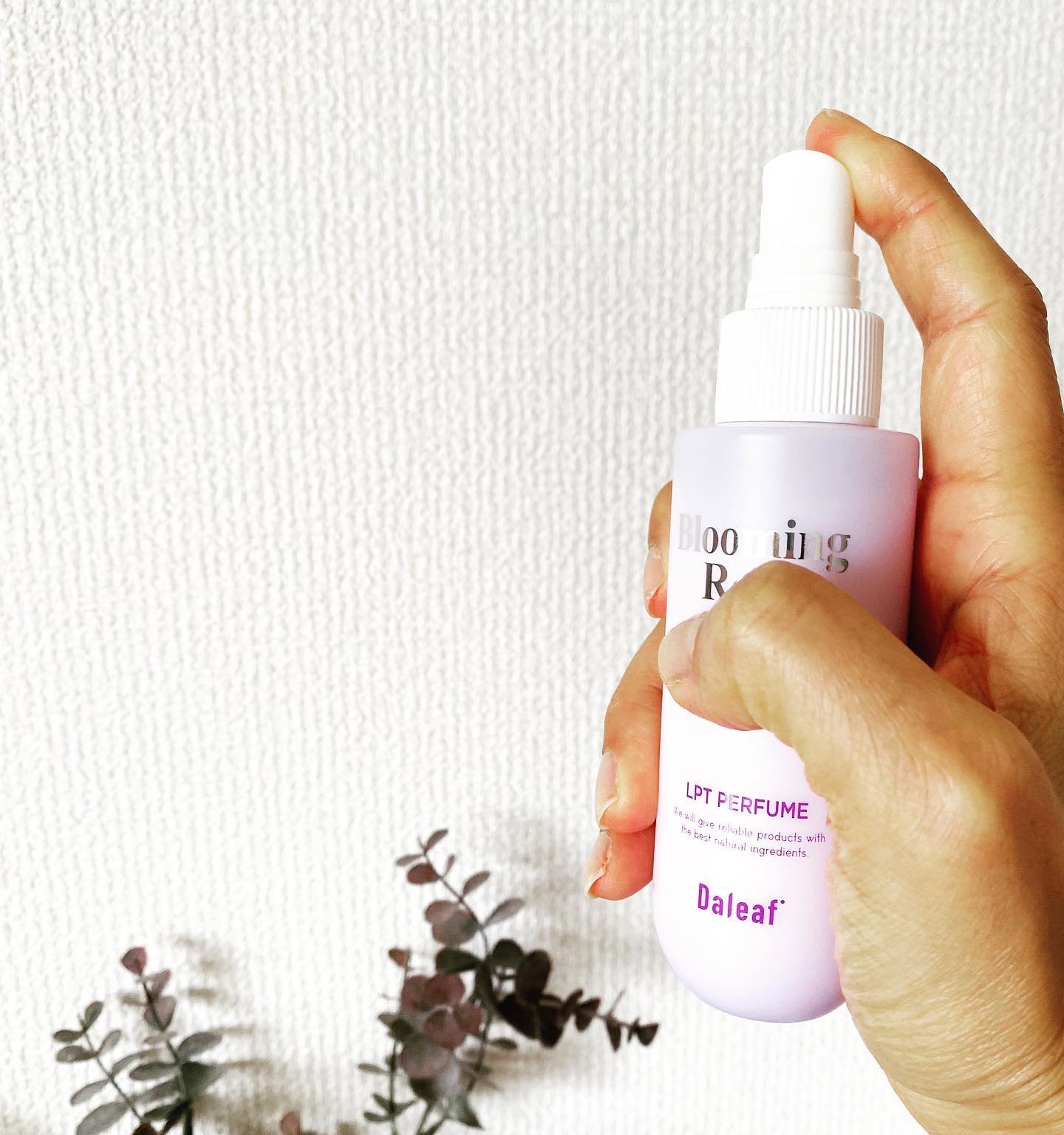 パフュームヘアパックインミスト Pink Breeze/Daleaf/アウトバストリートメントを使ったクチコミ（2枚目）