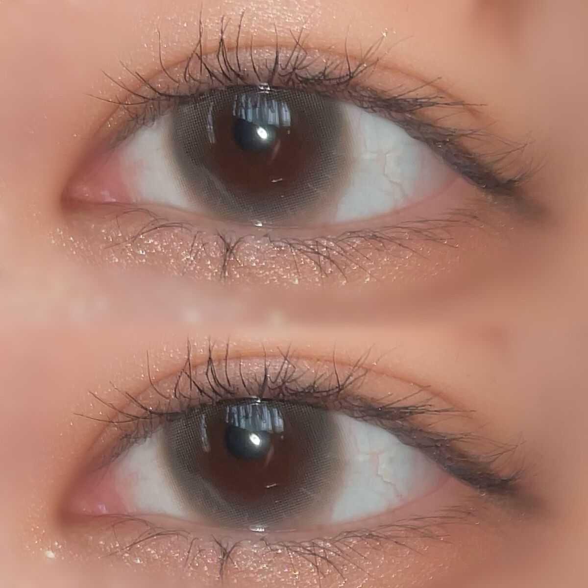 プティパレットアイズ/キャンメイク/パウダーアイシャドウを使ったクチコミ(2枚目)