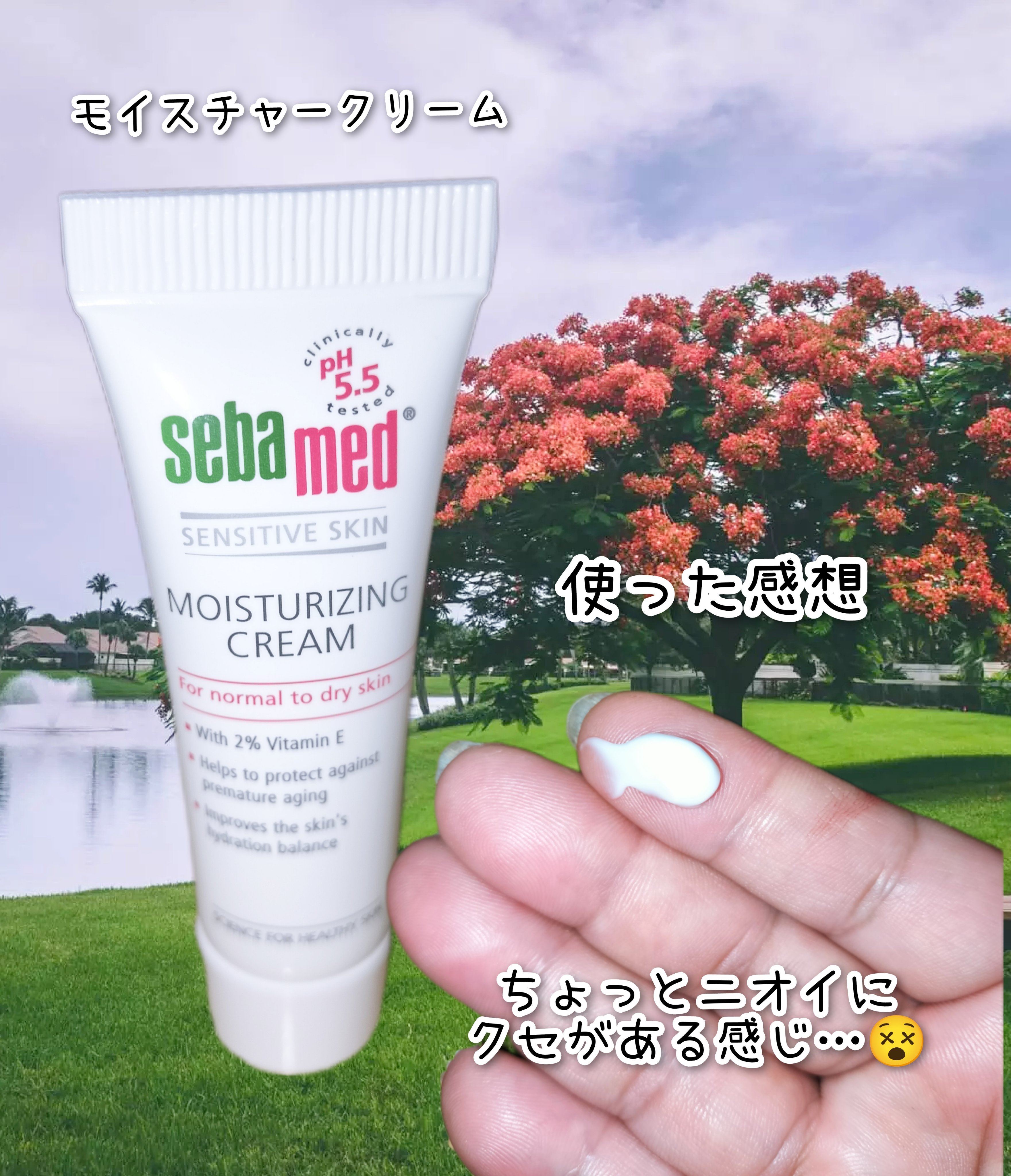 モイスチャークリーム/セバメド/フェイスクリームを使ったクチコミ（1枚目）