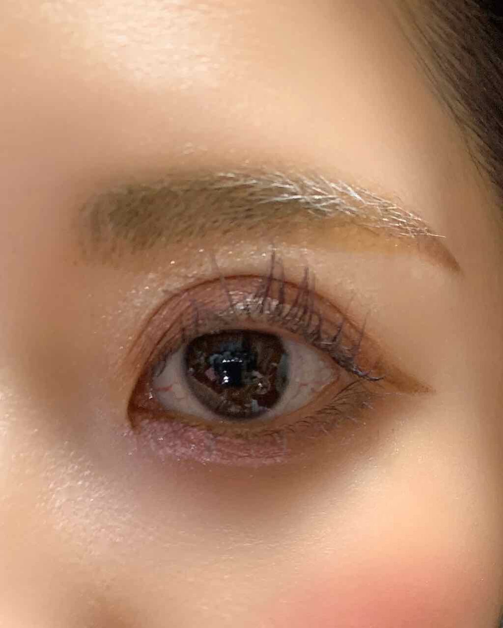 グロッシーリッチ アイズ N/Visée/アイシャドウパレットを使ったクチコミ(3枚目)