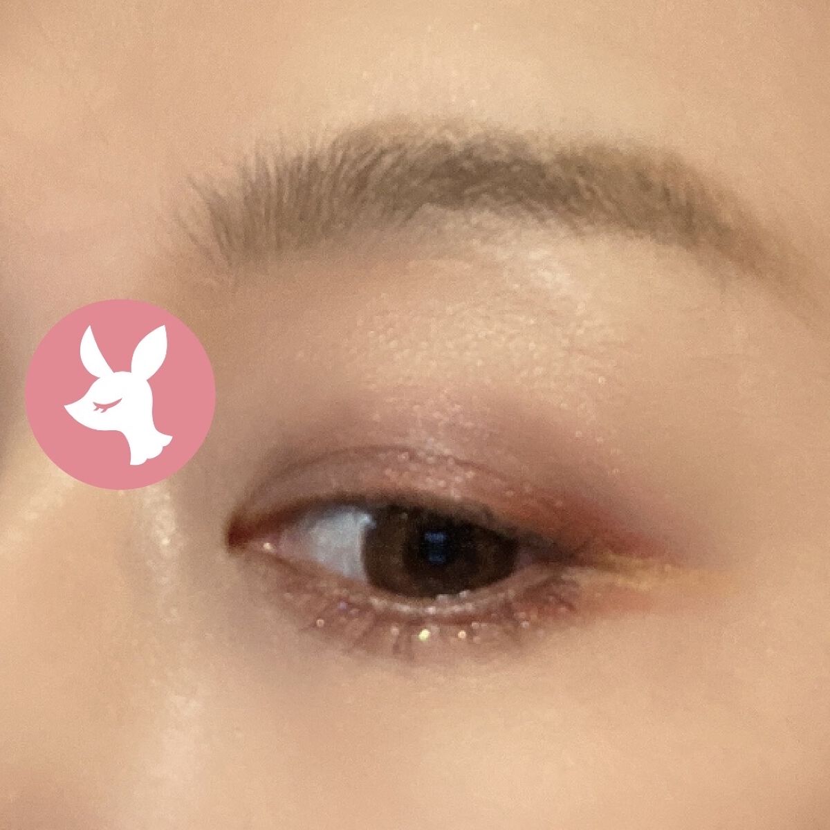 ニューアンビエンスカラーアイライナー エクレクティック/hince/リキッドアイライナーを使ったクチコミ（3枚目）