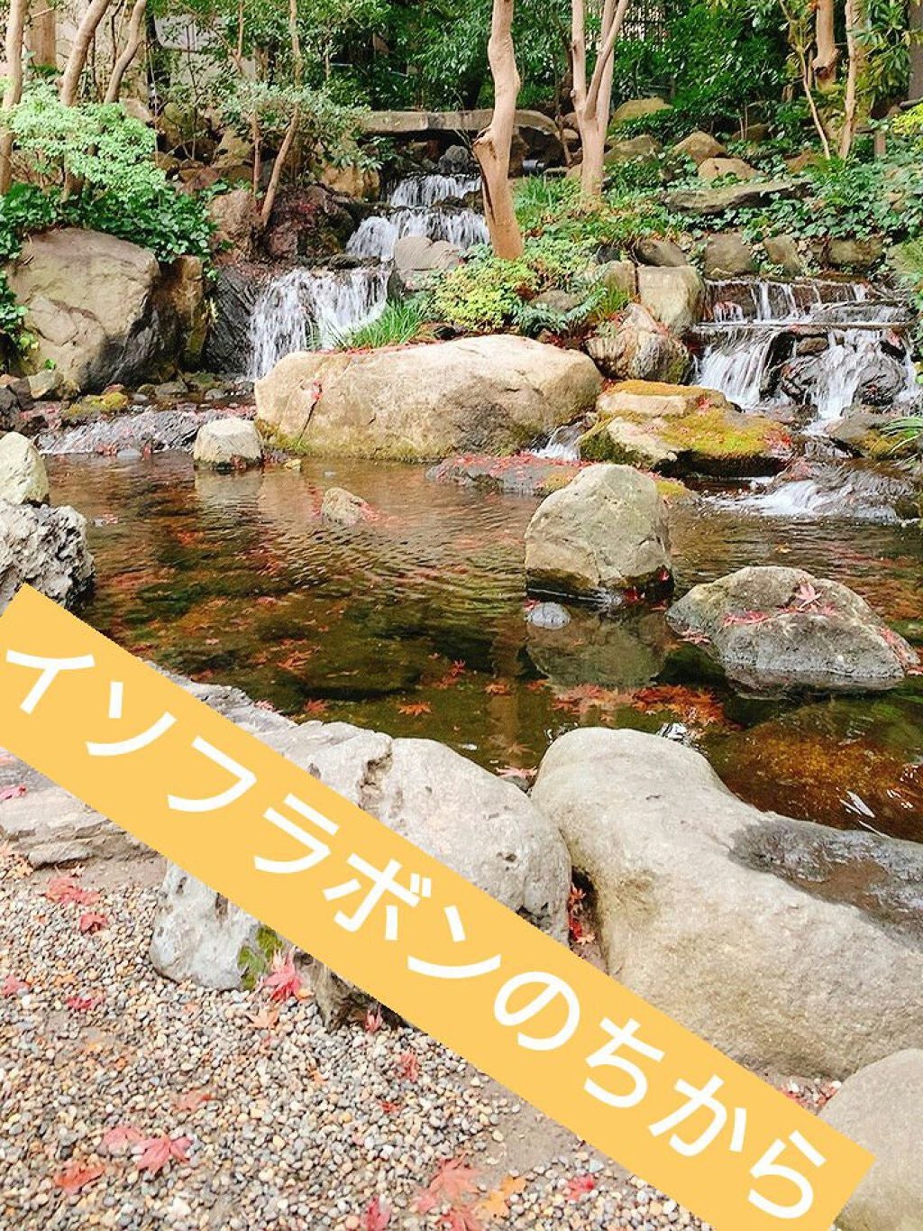 化粧水 NA/なめらか本舗/化粧水を使ったクチコミ(1枚目)