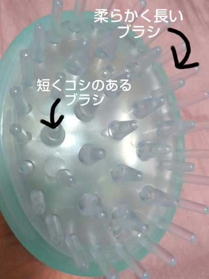 DAISO 頭皮スッキリシャンプーブラシのクチコミ「DAISO
◆シャンプーブラシ
しばらくシャンプーブラシを使用してなかったのだけど、頭皮は.....」(2枚目)