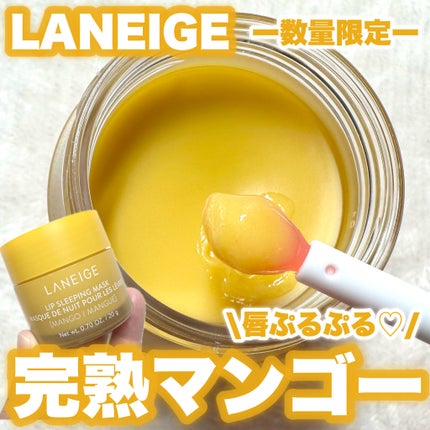 リップスリーピングマスク/LANEIGE/リップバームを使ったクチコミ(1枚目)