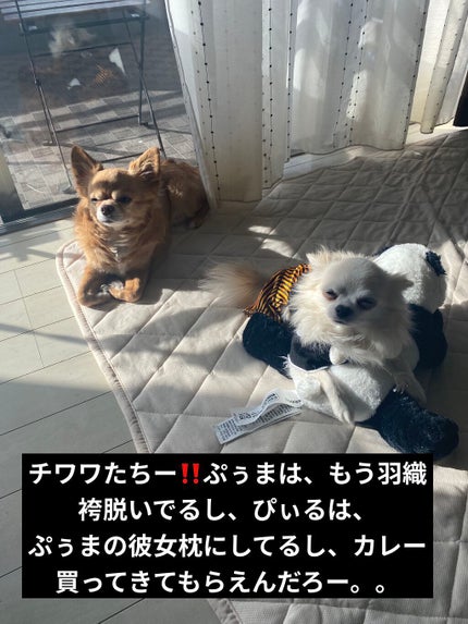 アイ カラー クォード/TOM FORD BEAUTY/アイシャドウパレットを使ったクチコミ(7枚目)