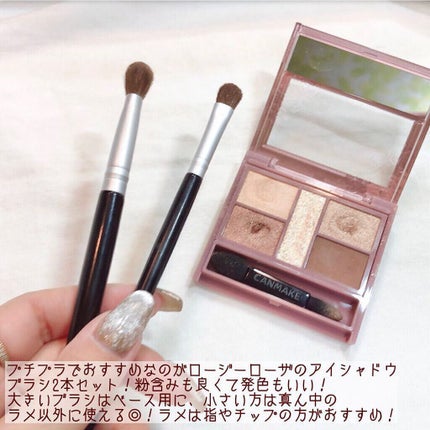 ノーズ&アイブロウパウダー/CEZANNE/パウダーアイブロウを使ったクチコミ(6枚目)