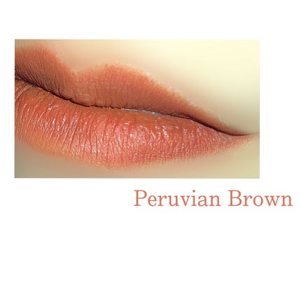 アディクション ザ マット リップ リキッド 009 Peruvian Brown/ADDICTION/口紅を使ったクチコミ(2枚目)