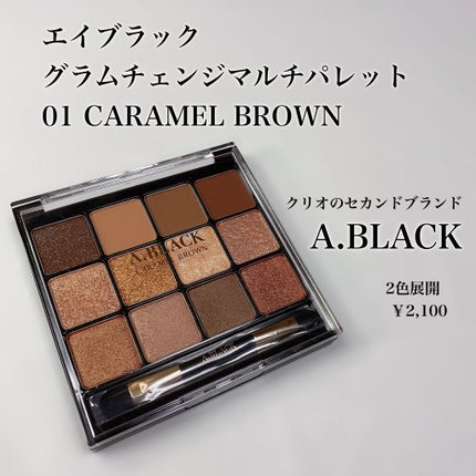 グラムチェンジマルチパレット/A.BLACK/マルチパレットを使ったクチコミ(2枚目)