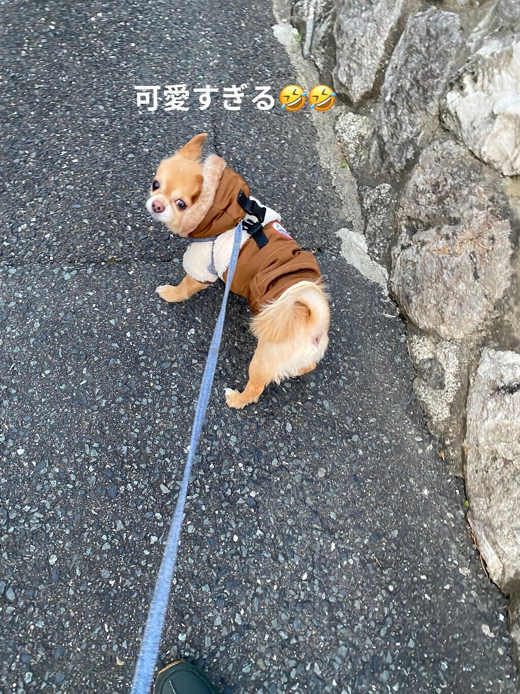 サンキューマートオリジナルディズニーアイシャドウパレット/サンキューマート/アイシャドウパレットを使ったクチコミ(7枚目)