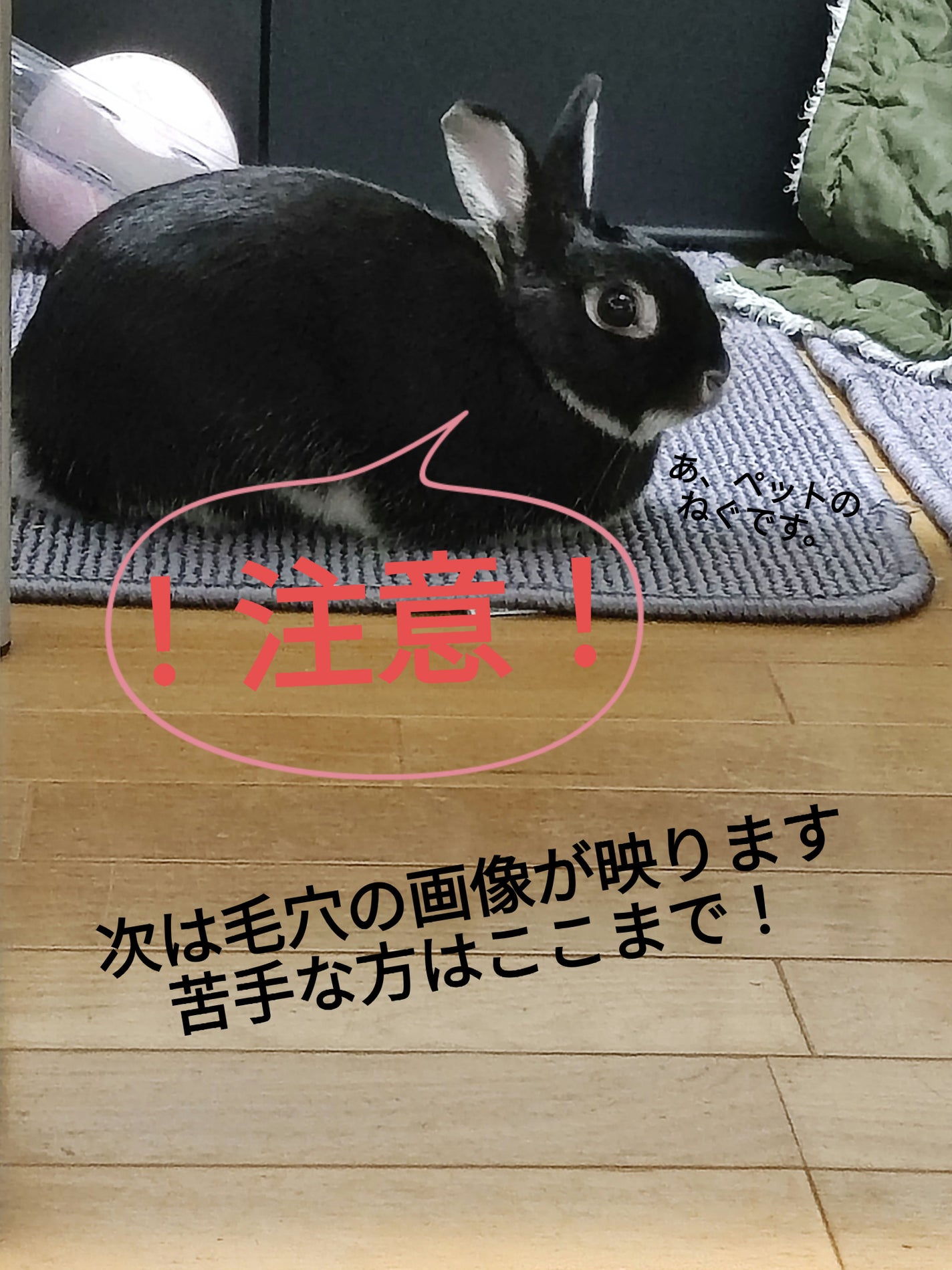 フェイススクラブ /HAP+R/スクラブ・ゴマージュを使ったクチコミ(6枚目)