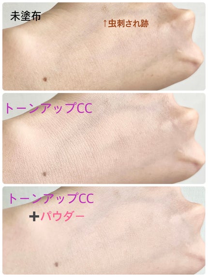 フェイスパウダー/DECORTÉ/ルースパウダーを使ったクチコミ(2枚目)