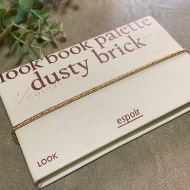 2021 F/Wルックブックパレット Dusty Brick/espoir/アイシャドウパレットを使ったクチコミ（1枚目）