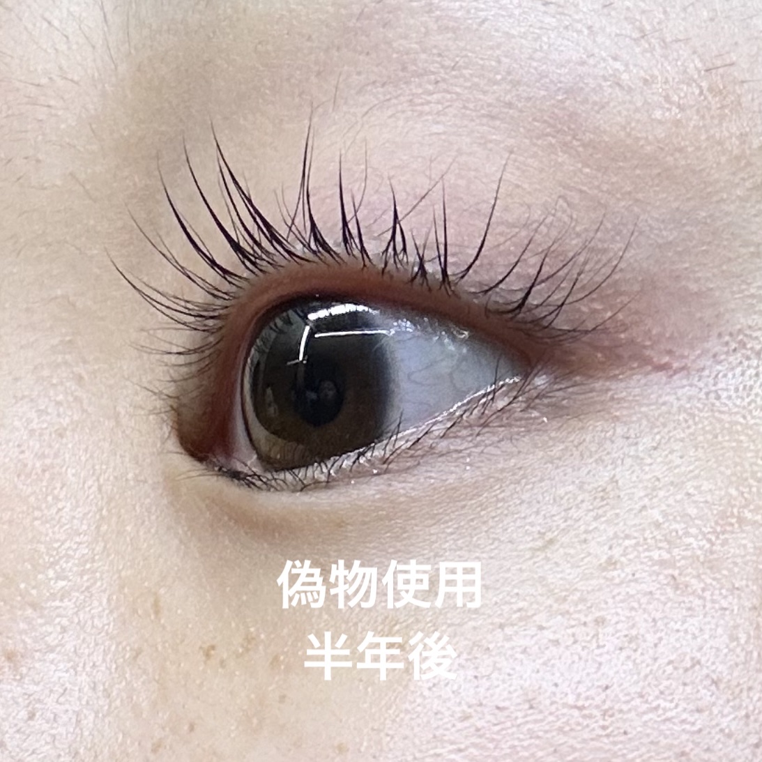 ラッシュアディクト アイラッシュコンディショニングセラム/soaddicted/まつげ美容液を使ったクチコミ（3枚目）