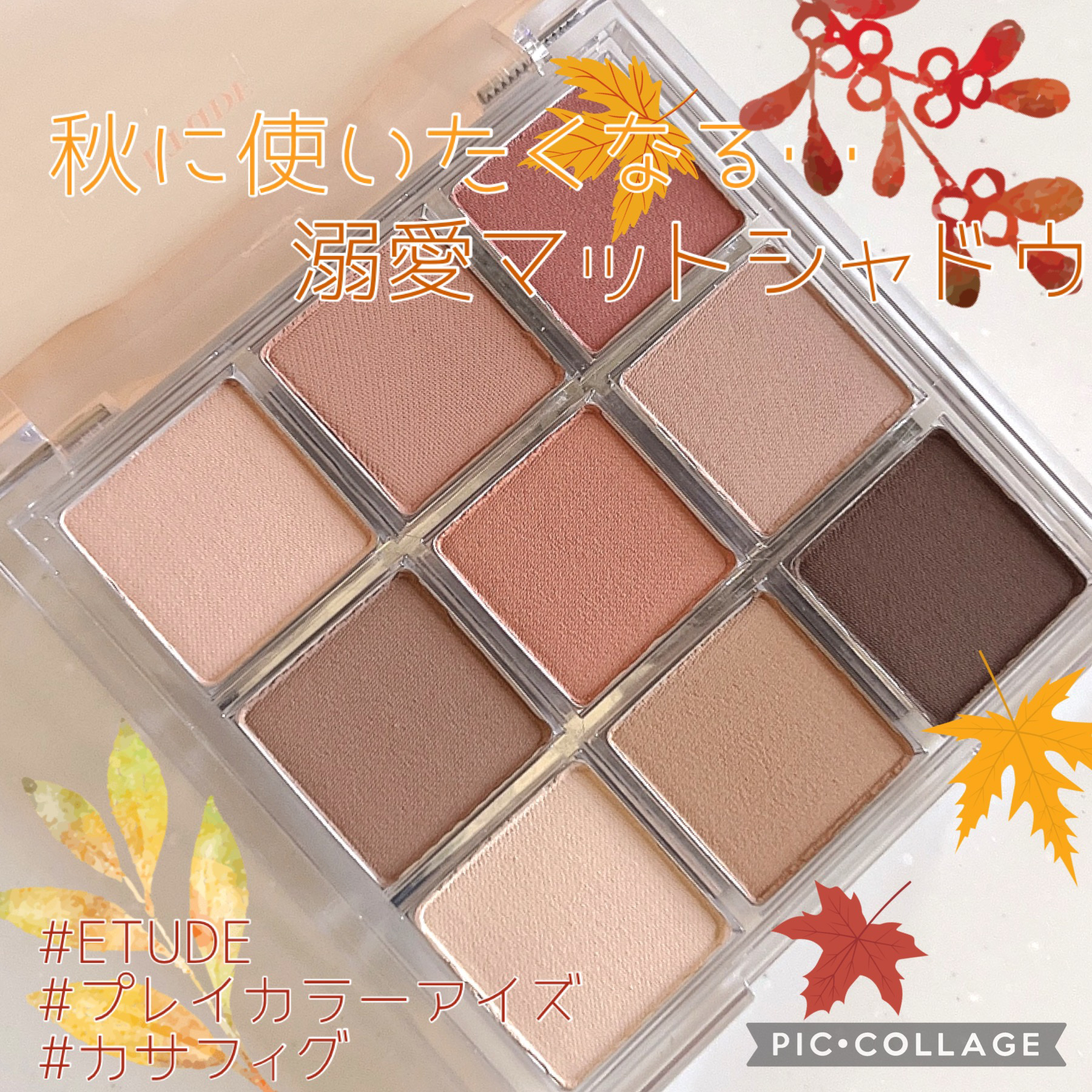 プレイカラーアイズ　カサフィグ プレイカラーアイズ/ETUDE/アイシャドウパレットを使ったクチコミ（1枚目）