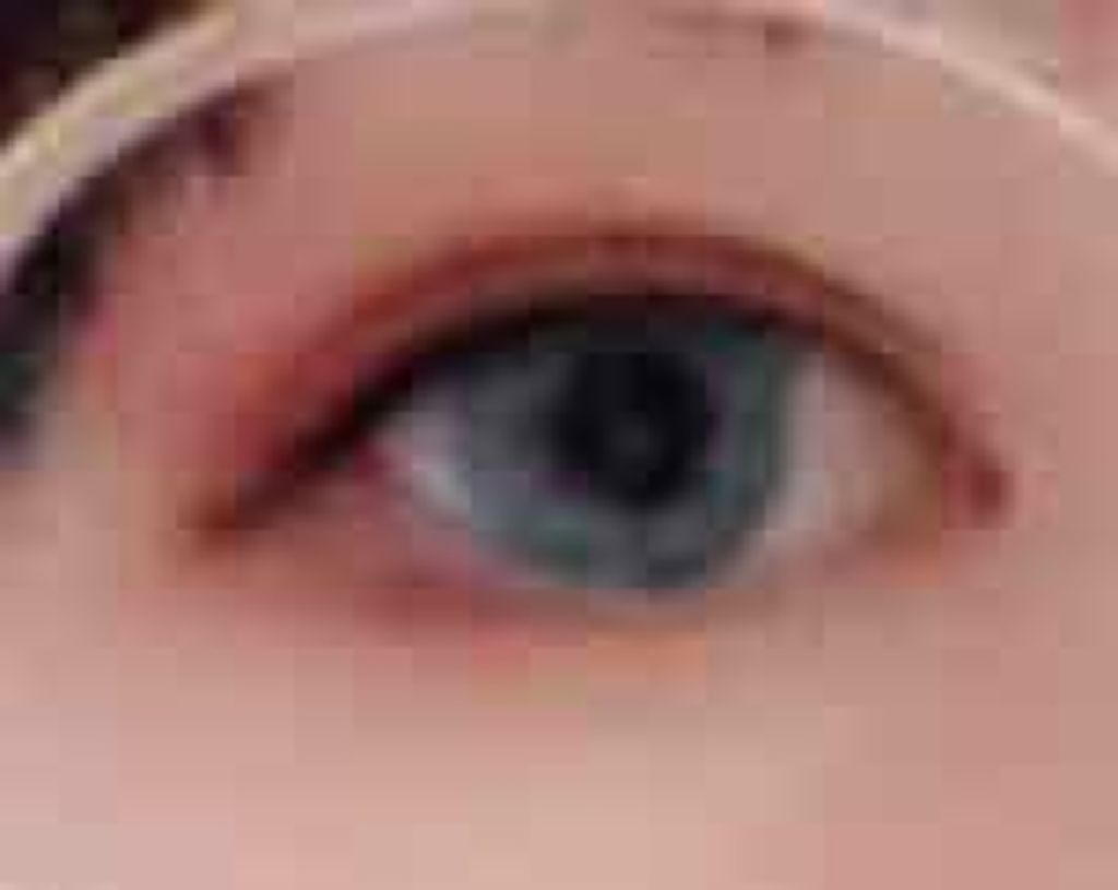 パーフェクトマルチアイズ/キャンメイク/アイシャドウパレットを使ったクチコミ（1枚目）