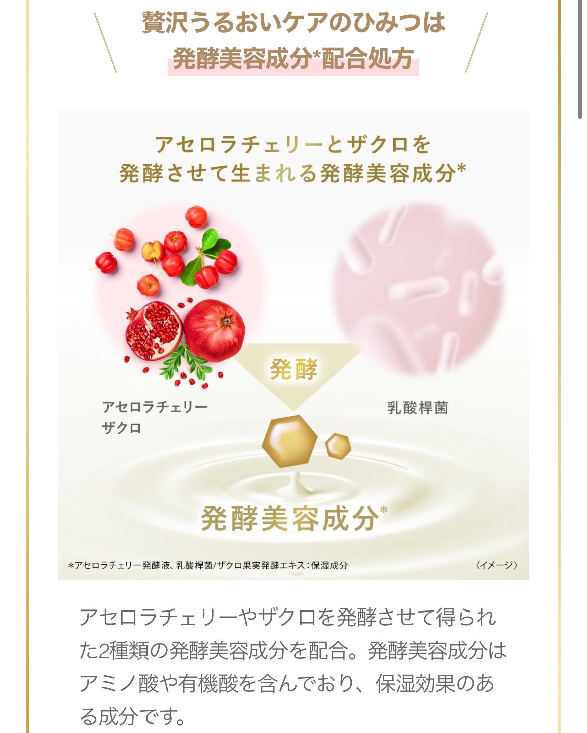 ボディウォッシュ 発酵&ビューティーシリーズ ハリ&うるおい/ダヴ/ボディソープを使ったクチコミ(2枚目)