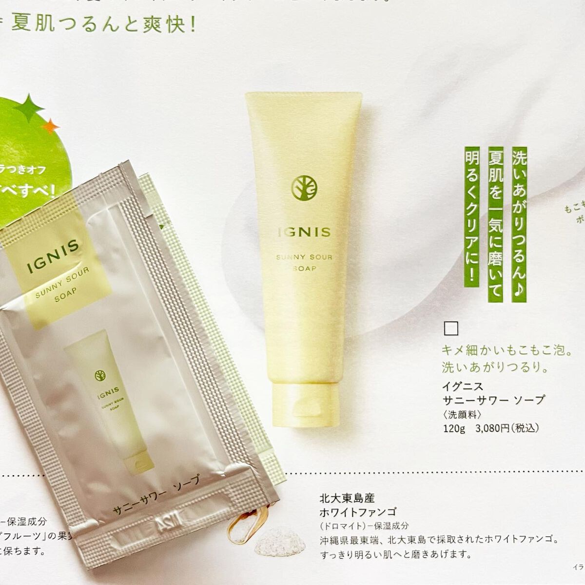 サニーサワー ソープ/IGNIS/洗顔フォームを使ったクチコミ（3枚目）