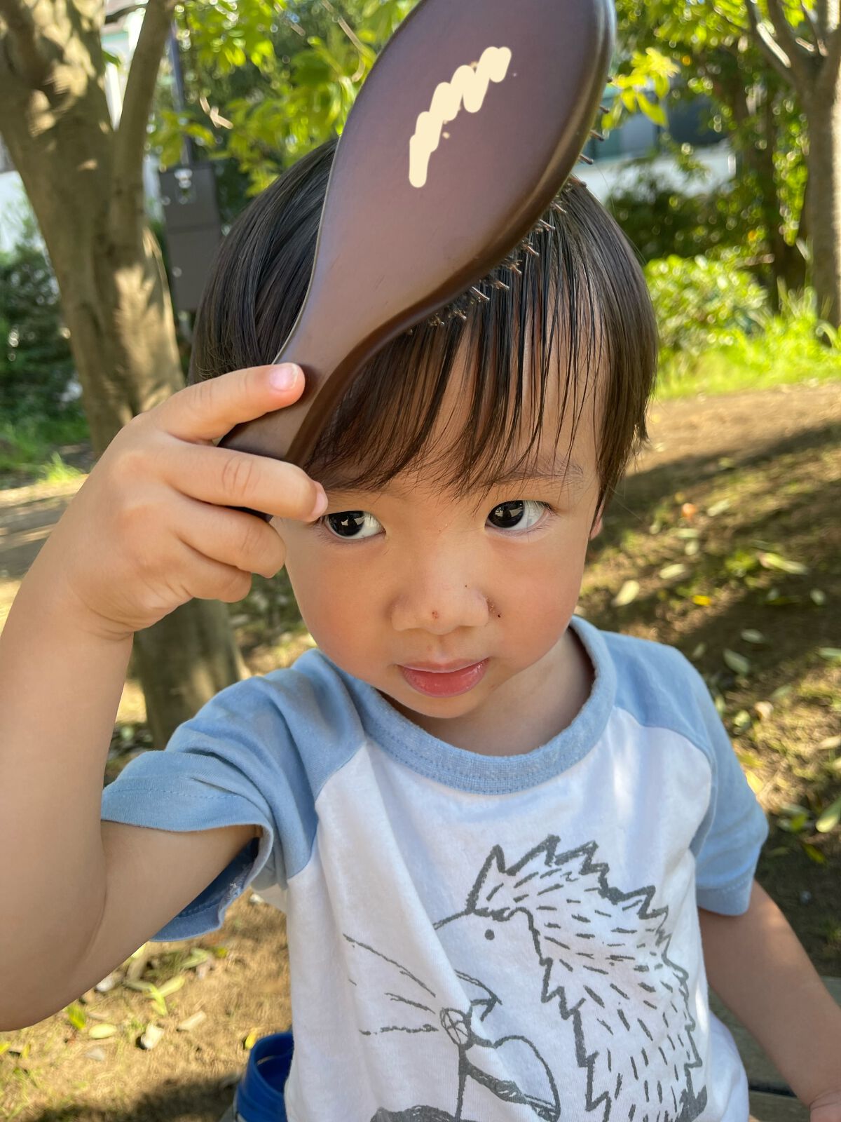 コンボパドルブラシ/john masters organics/ヘアブラシを使ったクチコミ(1枚目)