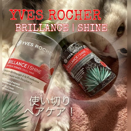 リンシングビネガー シルキーシャイン さらキララズベリー/イヴ・ロシェ/洗い流すヘアトリートメントを使ったクチコミ(1枚目)