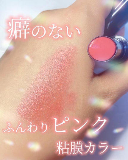 ネンマクフェイク ルージュ/Visée/口紅を使ったクチコミ(2枚目)
