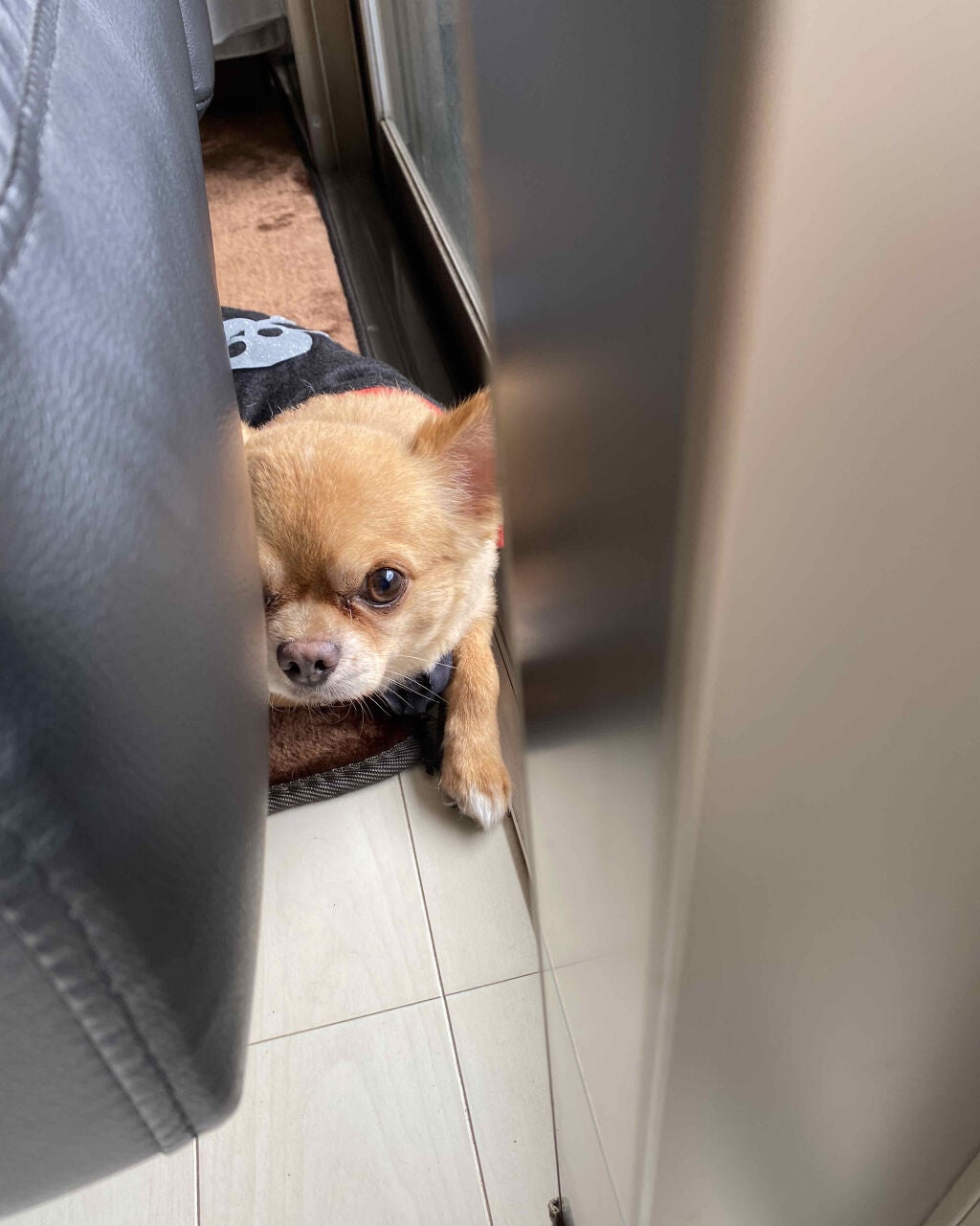 Bite Beauty Amuse Bouche Lipstick/Bite Beauty/口紅を使ったクチコミ(3枚目)