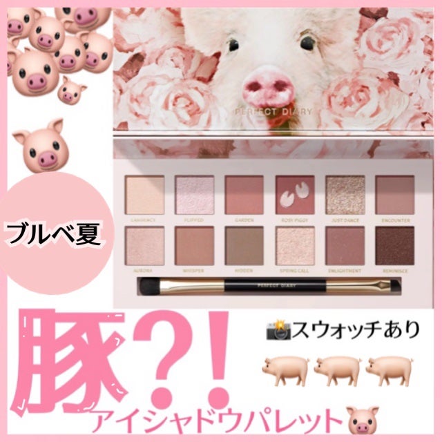 エクスプローラ12色 動物アイシャドウパレット/PERFECT DIARY/アイシャドウパレットを使ったクチコミ(1枚目)