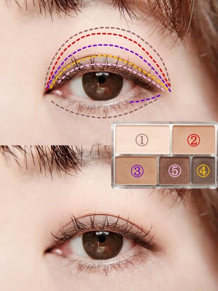 パーフェクトマルチアイズ 01 ローズブラウン/キャンメイク/アイシャドウパレットを使ったクチコミ(3枚目)