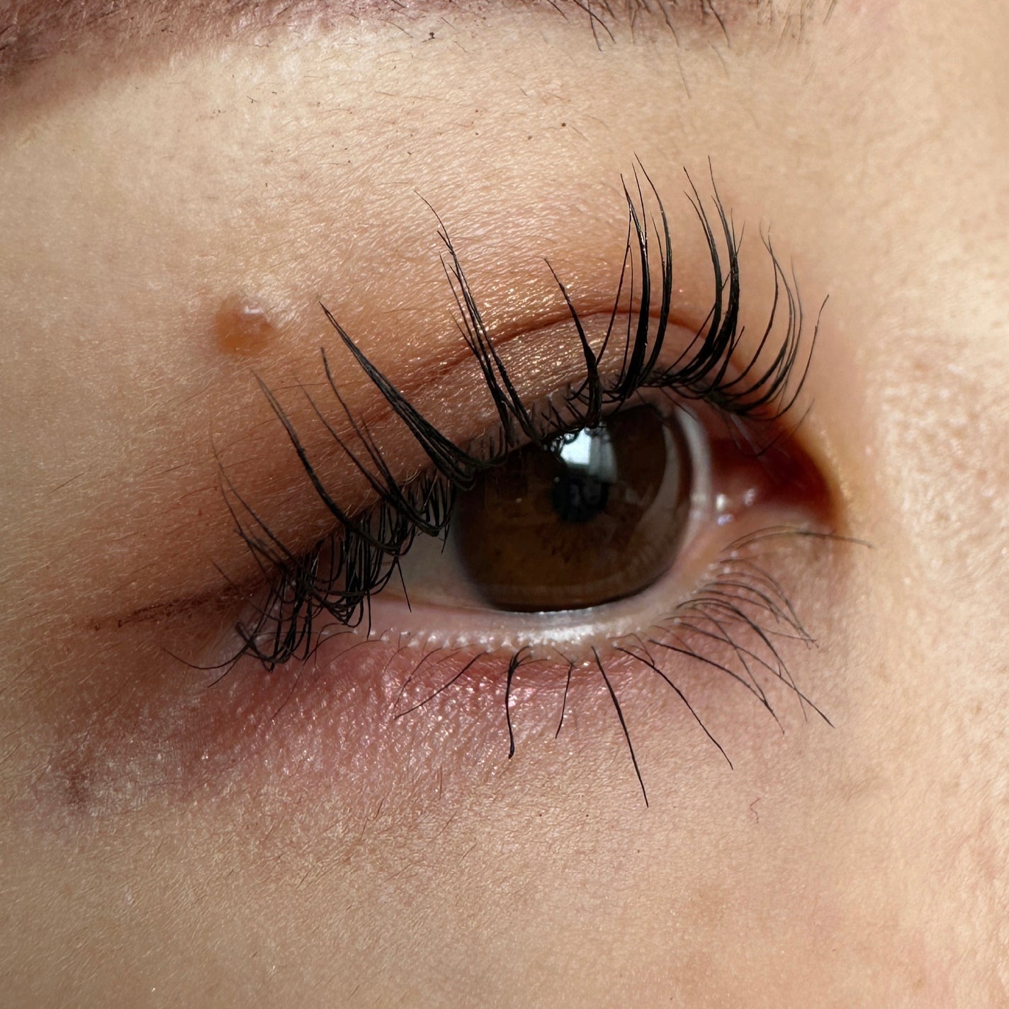 アイ カラー クォード/TOM FORD BEAUTY/アイシャドウパレットを使ったクチコミ(2枚目)