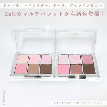ベターミーアイパレット/2aN/マルチパレットを使ったクチコミ(2枚目)