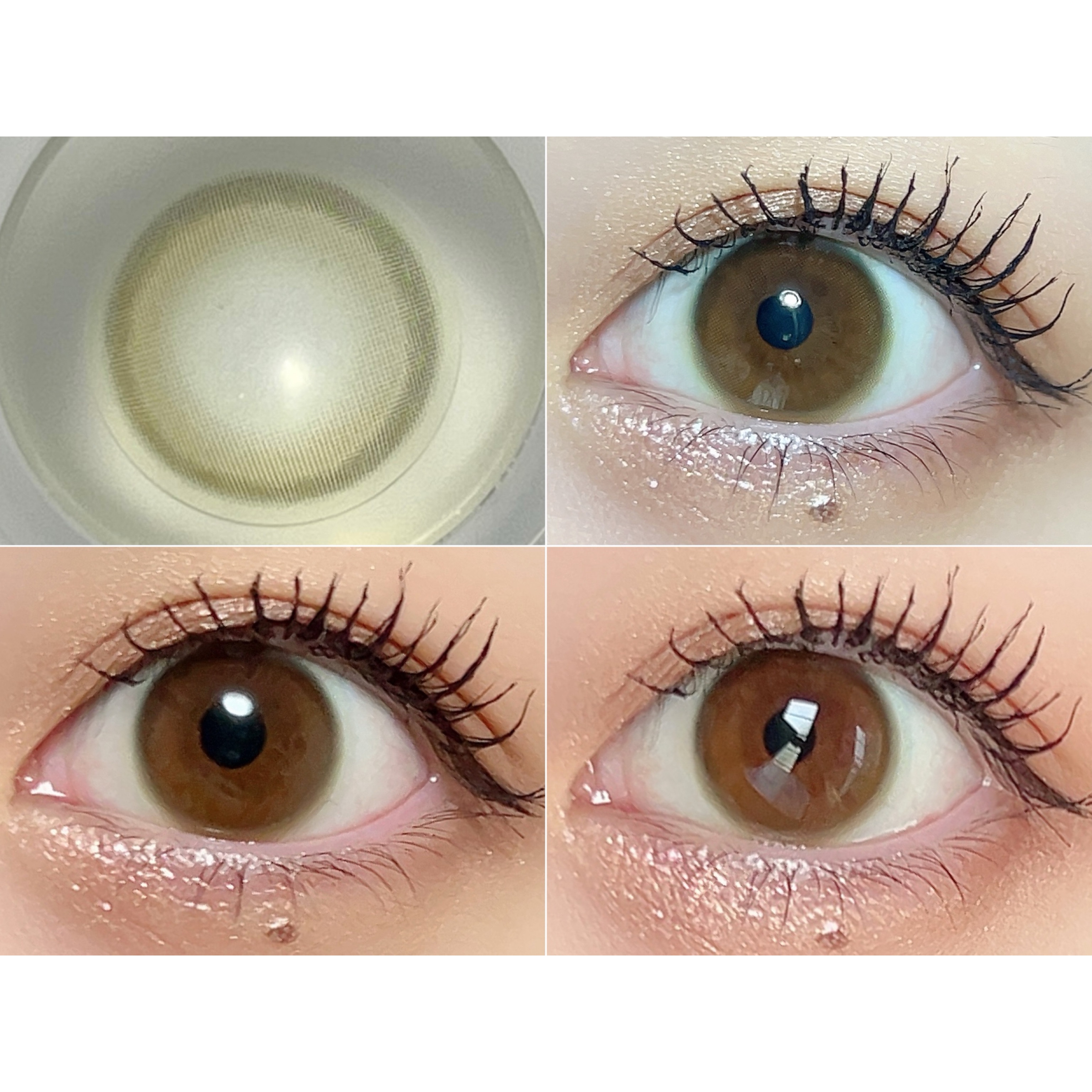 candy magic ピュアリティサークルのクチコミ「Purity by Diya CIRCLE 1day♡全5種類つけ比べ

1️⃣モアブラウン
.....」（3枚目）