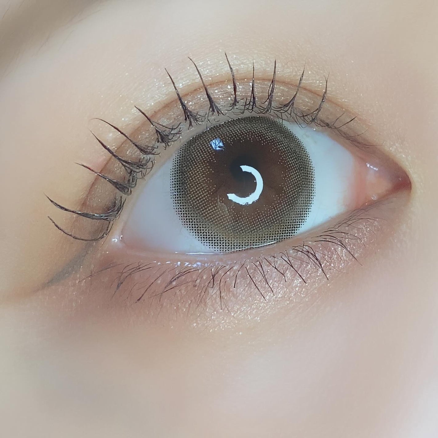 melady 1day/melady/ワンデー(1DAY)カラコンを使ったクチコミ(3枚目)