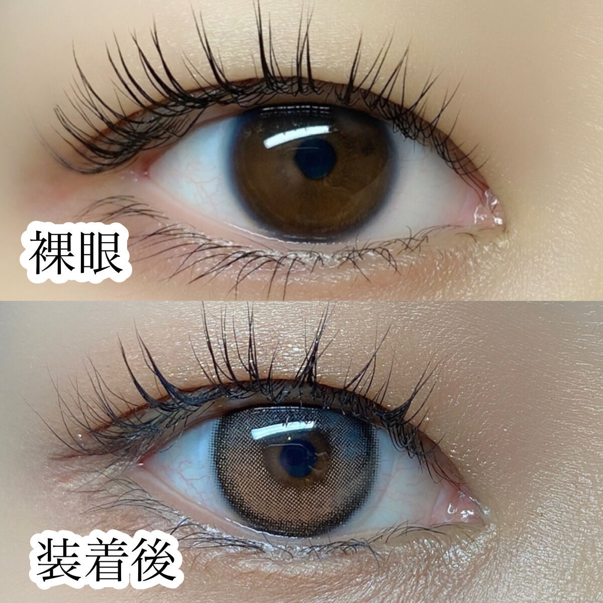 i-sha 1day オリアナ/CLARA CONTACT/ワンデー(1DAY)カラコンを使ったクチコミ(6枚目)